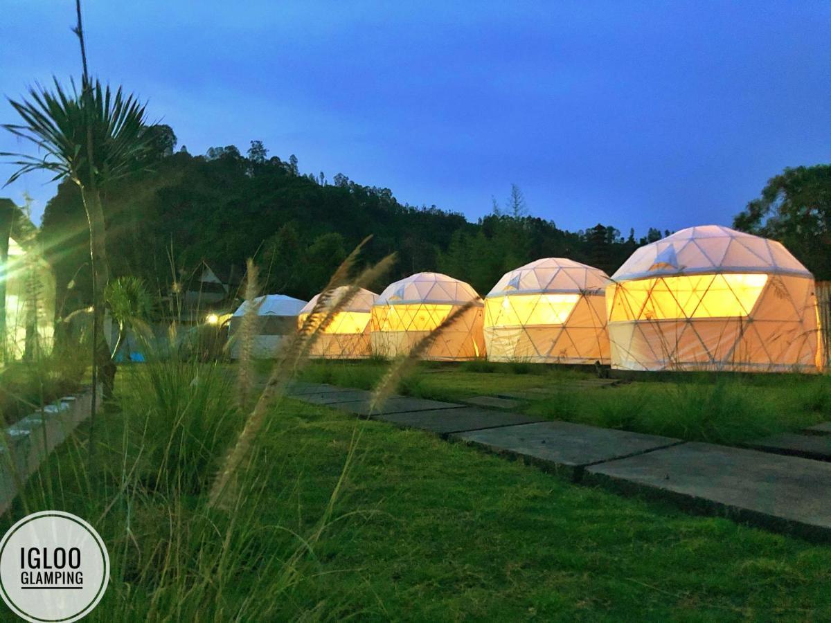 Отель Igloo Glamping Bali Кинтамани Экстерьер фото