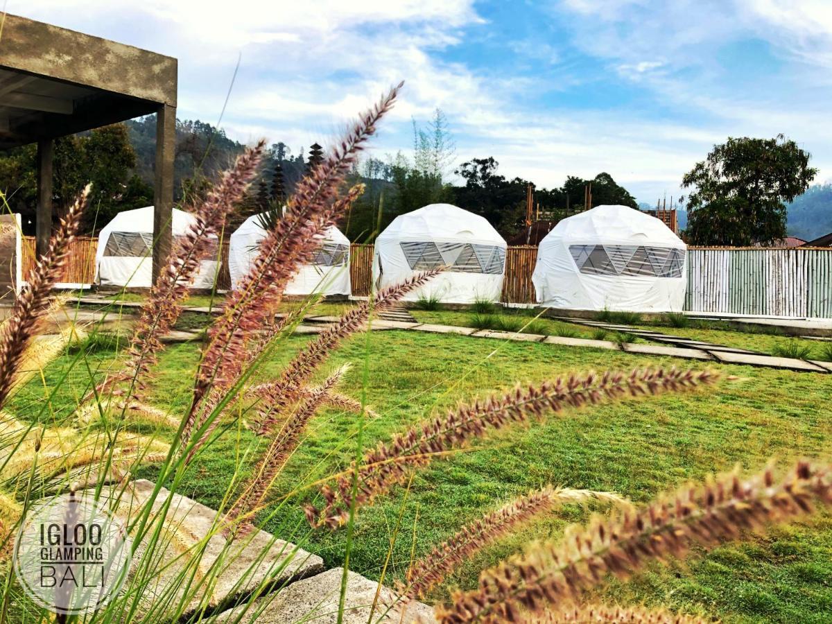 Отель Igloo Glamping Bali Кинтамани Экстерьер фото