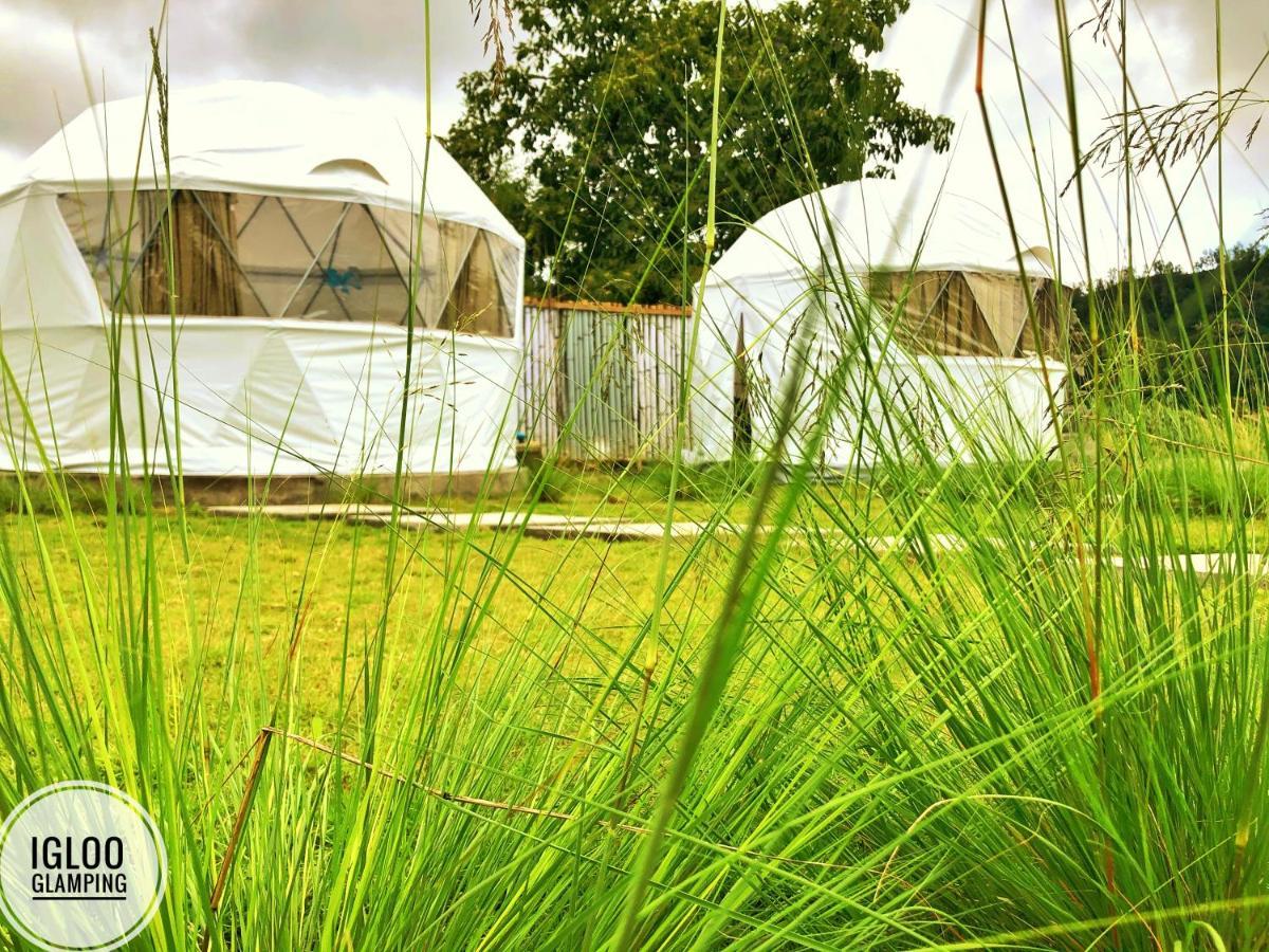 Отель Igloo Glamping Bali Кинтамани Экстерьер фото